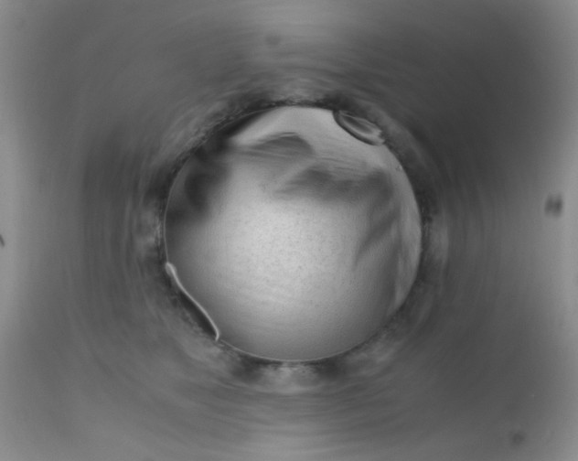 X0000110950517200907022200