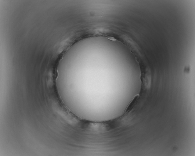 X0000110950520200907022200