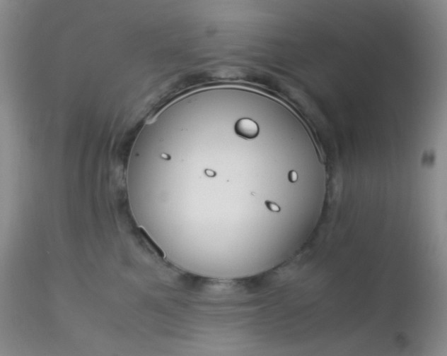 X0000110950521200907022200