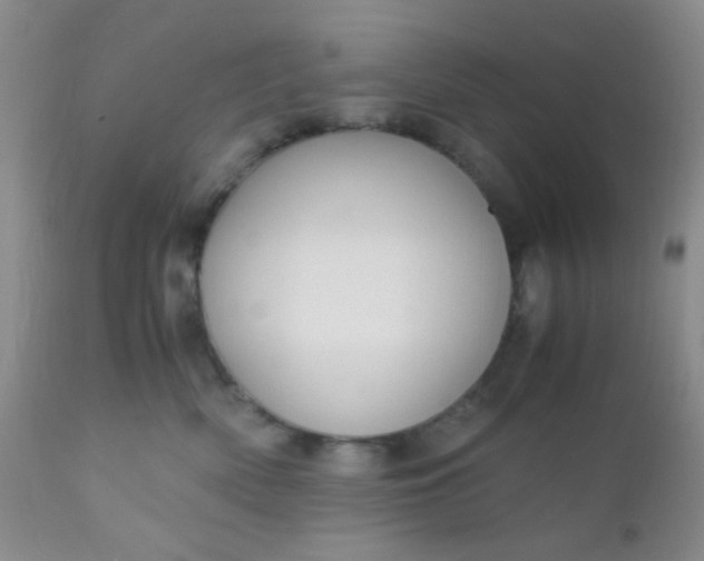 X0000110950522200907022200