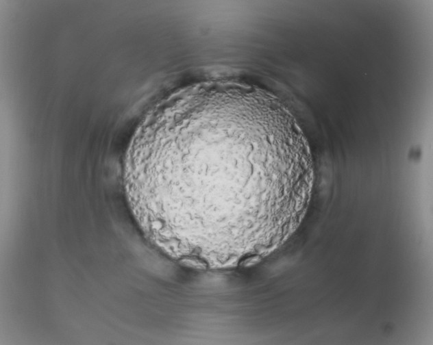 X0000110950523200907022200