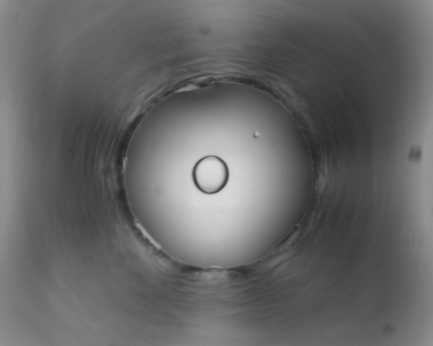 X0000110950524200907022200