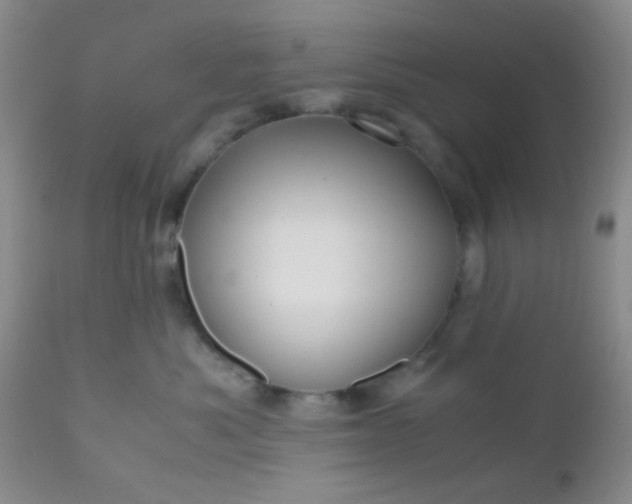 X0000110950525200907022200