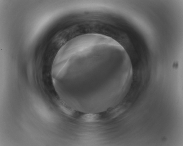 X0000110950526200907022200