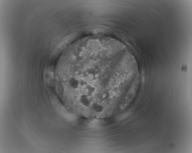 X0000110950527200907022200