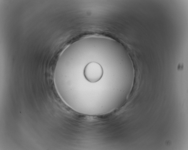 X0000110950528200907022200