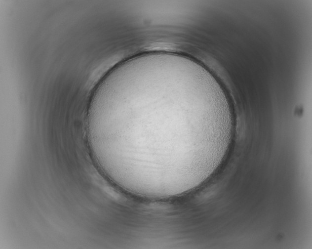 X0000110950529200907022159