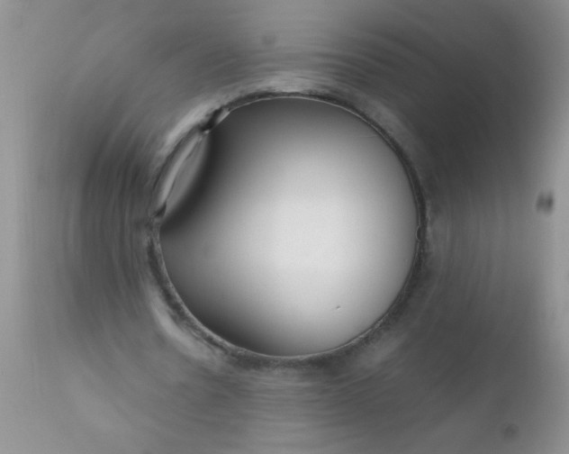 X0000110950530200907022159