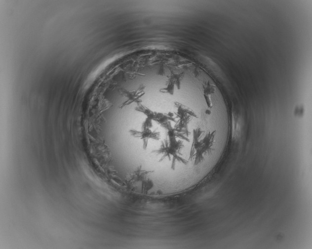 X0000110950531200907022159