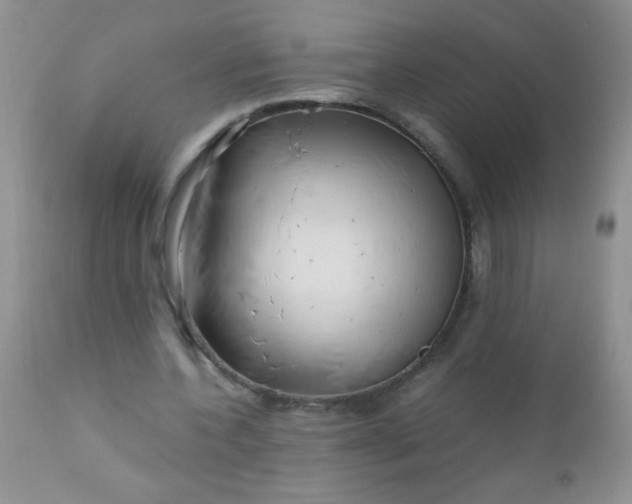 X0000110950532200907022159