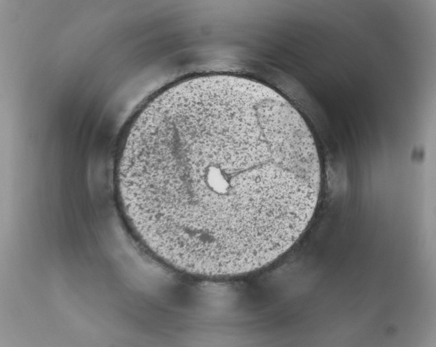 X0000110950534200907022159