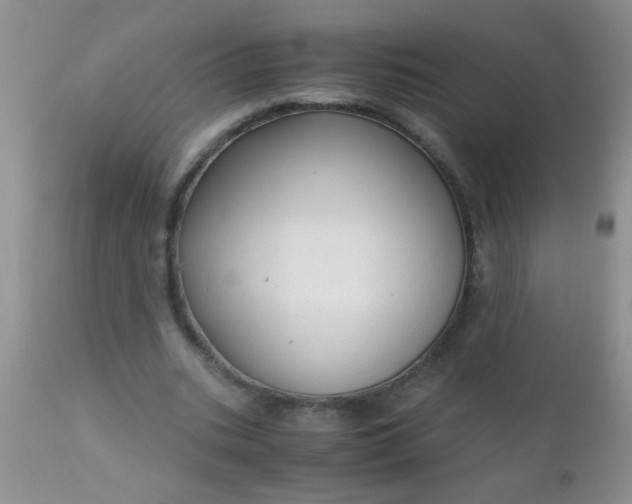 X0000110950535200907022159