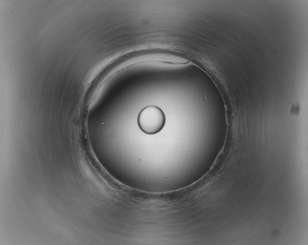 X0000110950536200907022159