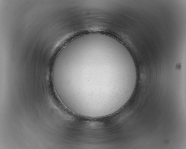 X0000110950539200907022159