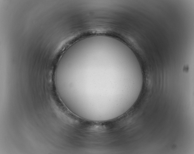 X0000110950543200907022159