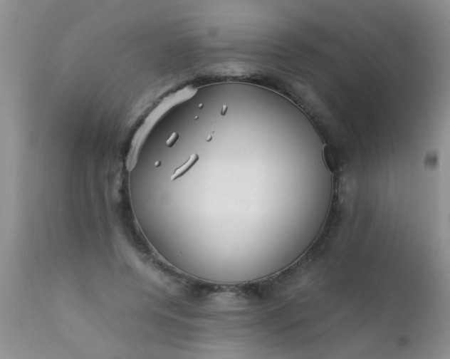 X0000110950544200907022159