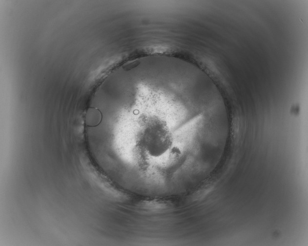 X0000110950545200907022159