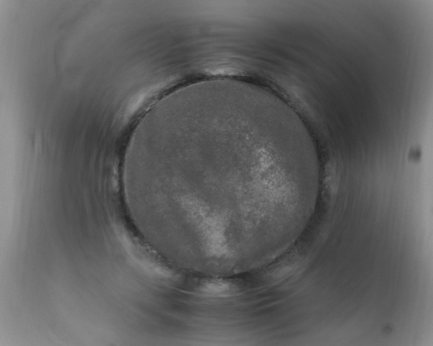 X0000110950547200907022159