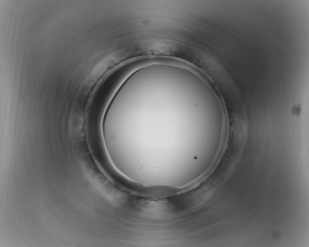 X0000110950548200907022159