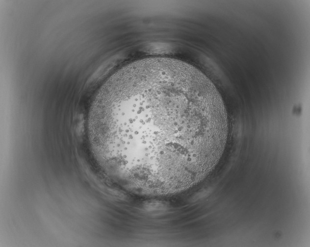 X0000110950549200907022159