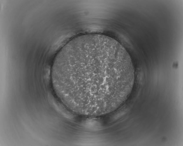 X0000110950550200907022159