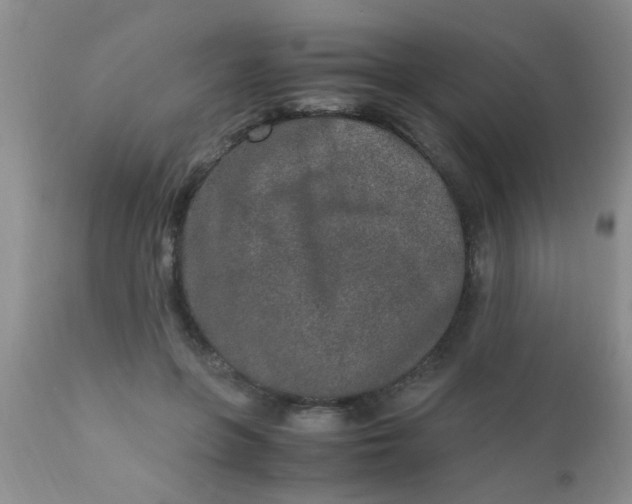 X0000110950551200907022200