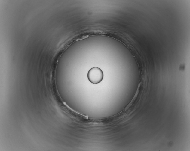 X0000110950552200907022200