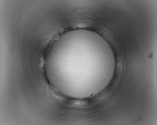 X0000110950555200907022200