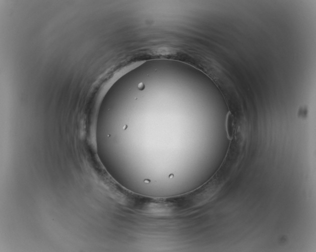 X0000110950556200907022200