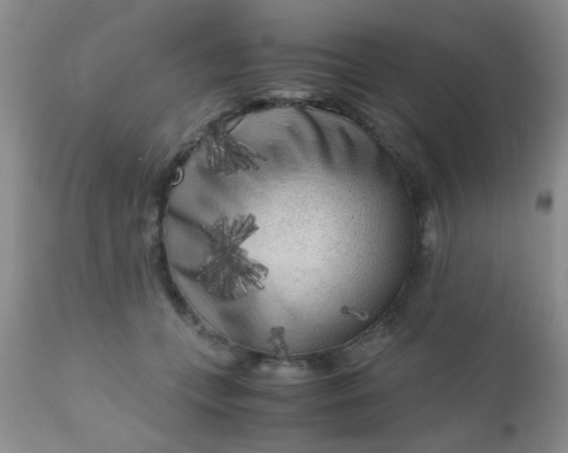 X0000110950559200907022200