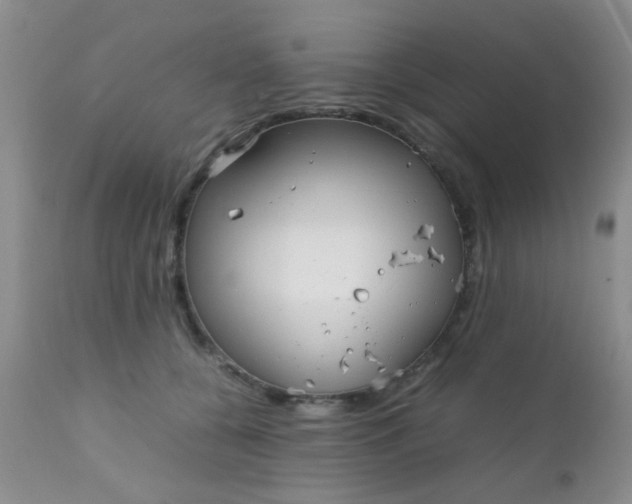 X0000110950560200907022200