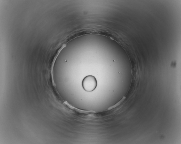 X0000110950562200907022200