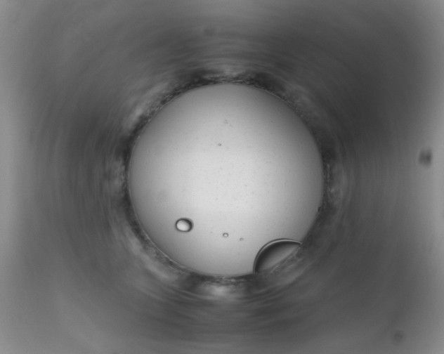 X0000110950563200907022200