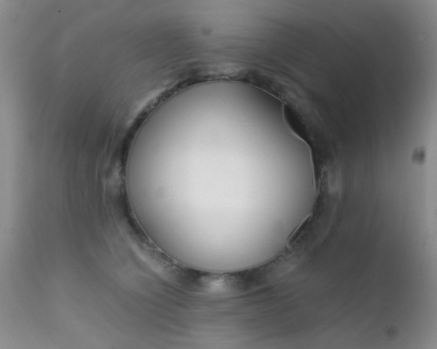 X0000110950564200907022200