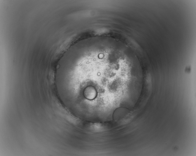 X0000110950565200907022200