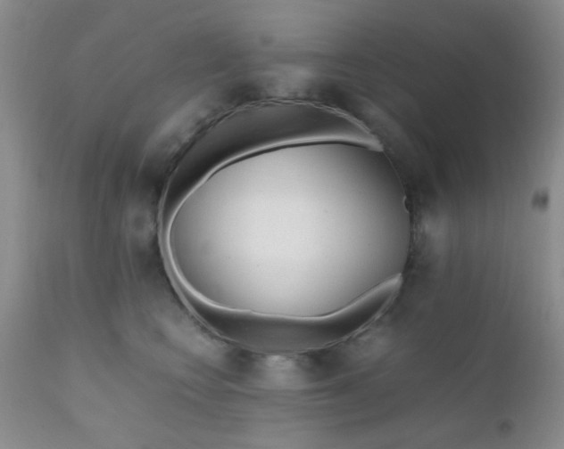 X0000110950566200907022200