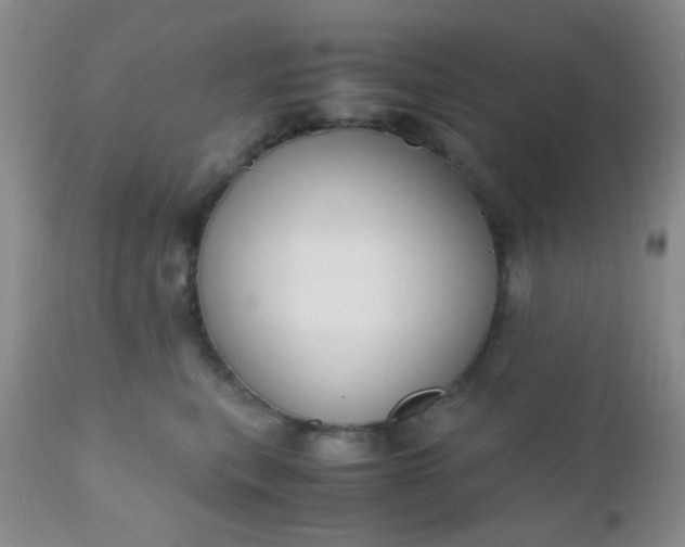 X0000110950567200907022200