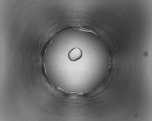 X0000110950568200907022200