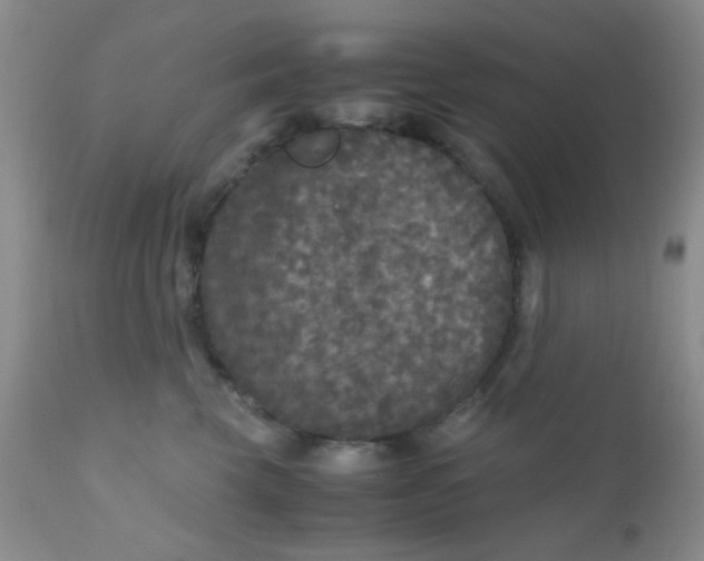 X0000110950569200907022200