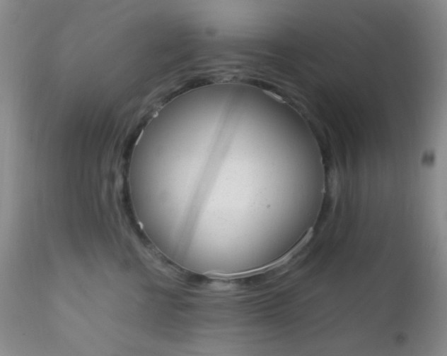 X0000110950570200907022200