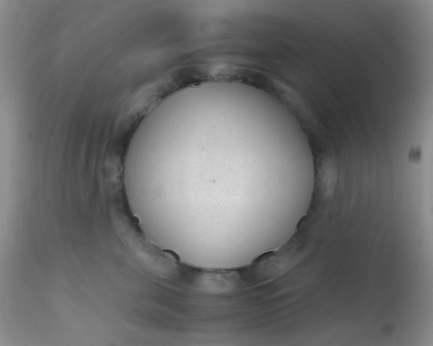 X0000110950571200907022200