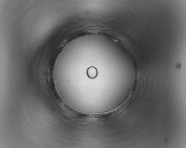 X0000110950572200907022200