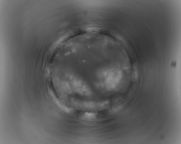 X0000110950573200907022200