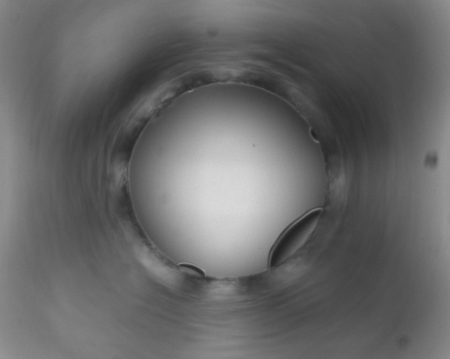 X0000110950574200907022200