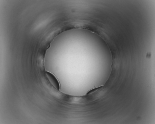 X0000110950575200907022200