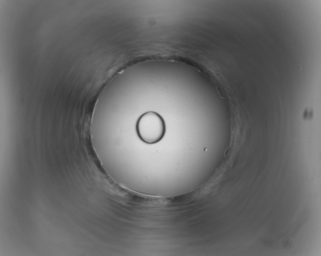 X0000110950576200907022200