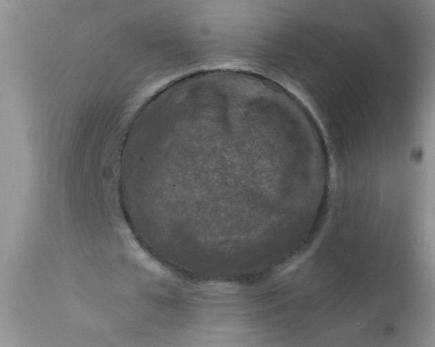 X0000110950577200907022159