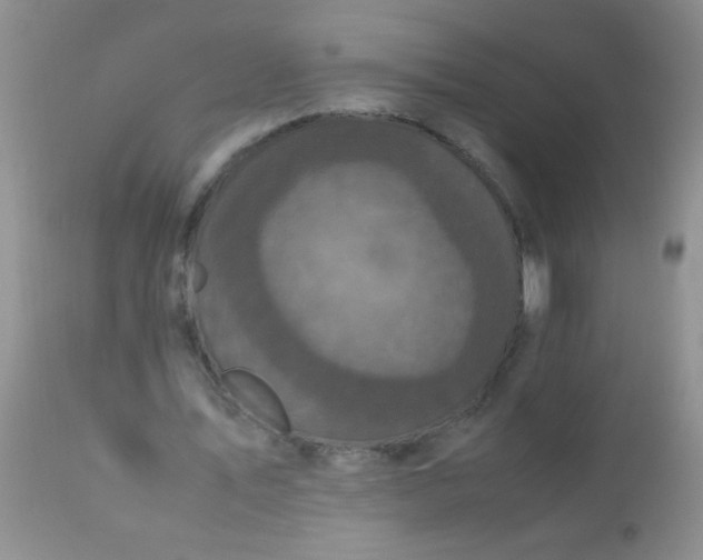 X0000110950579200907022159