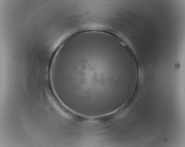 X0000110950581200907022159