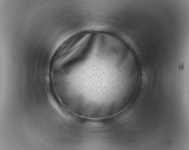 X0000110950582200907022159